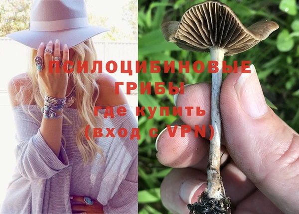 молекула духа Усмань
