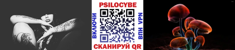 Купить где  Балашов  Псилоцибиновые грибы MAGIC MUSHROOMS 