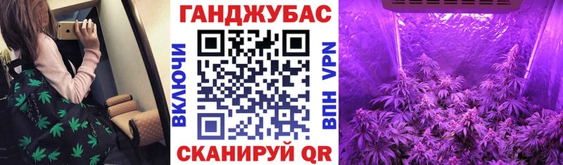 Купить закладки  Балашов  Каннабис план 